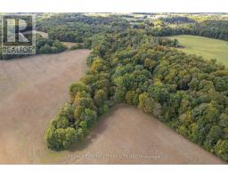 Pt Lt 113 Culloden Road, Bayham, ON N0J1H0 Photo 9