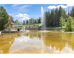 221 Ockenden Pl Nw, Edmonton, AB T6R1K5 Photo 64