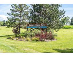 221 Ockenden Pl Nw, Edmonton, AB T6R1K5 Photo 66