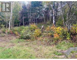 489 Prospect Road, Parrsboro, NS B0M1S0 Photo 25