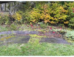 489 Prospect Road, Parrsboro, NS B0M1S0 Photo 26