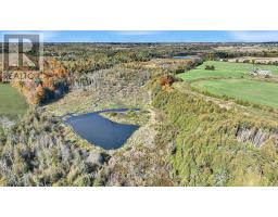 516458 County 124 Road, Melancthon, ON L0N1S7 Photo 13