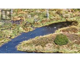 516458 County 124 Road, Melancthon, ON L0N1S7 Photo 14