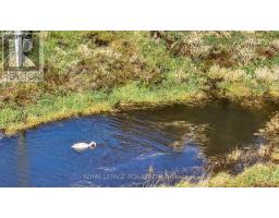 516458 County 124 Road, Melancthon, ON L0N1S7 Photo 15