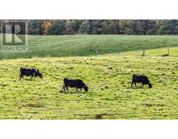 715689 1st Line, Mono, ON L9V1B1 Photo 14