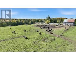 715689 1st Line, Mono, ON L9V1B1 Photo 8