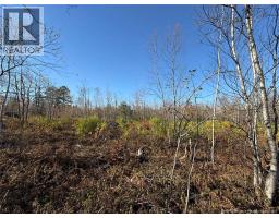 1.15 acres Cowans Creek, photo 2