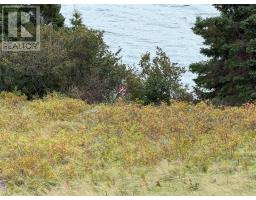 263A Corporal Jamie Murphy Memorial Drive thumbnail 2