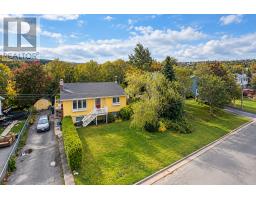 53 Kelliview Crescent thumbnail 37