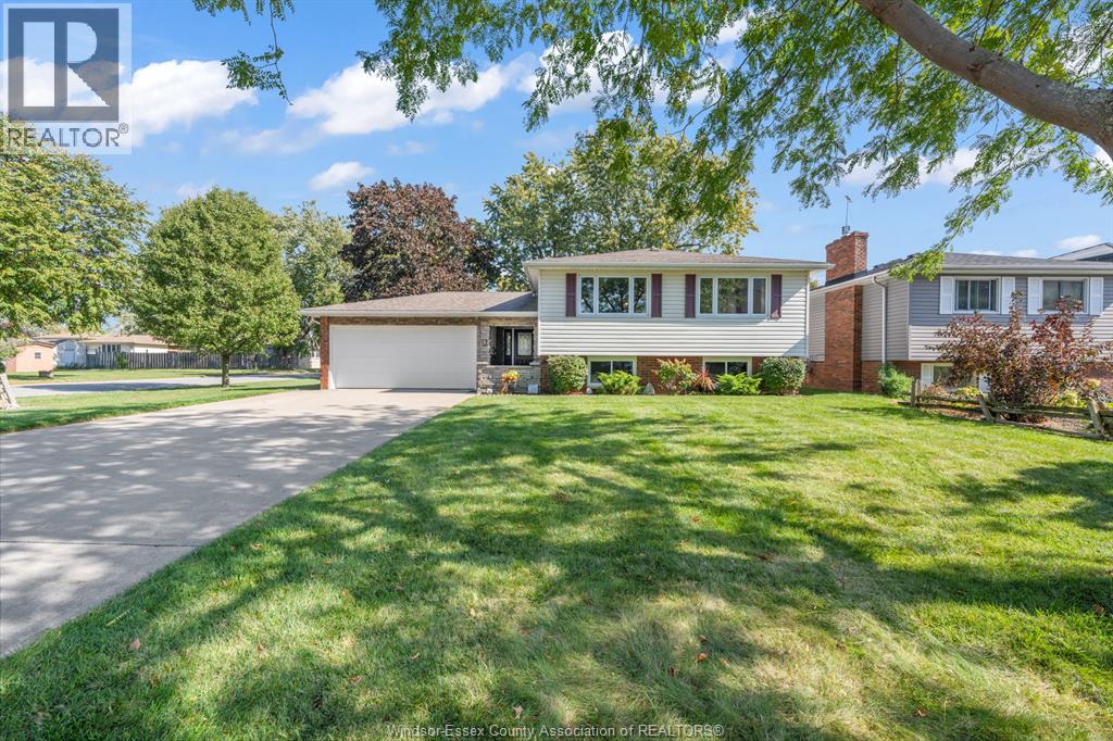 8 Bruce AVENUE - 34