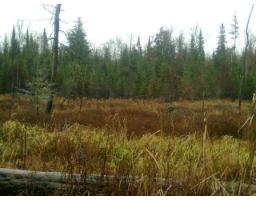 2 Ch. Du Rang 11, Litchfield, QC J0X1K0 Photo 7