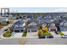 160 Rainbow Falls Passage, Chestermere, AB T1X0S6 Photo 41