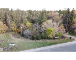 9333 146 St Nw, Edmonton, AB T5R0W7 Photo 53