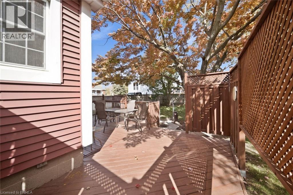 243 Sydenham Street — photo 37