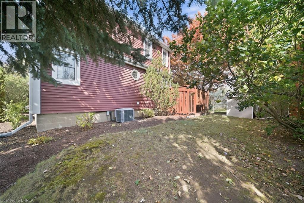 243 Sydenham Street — photo 44