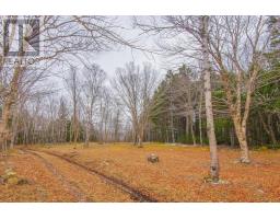 Lot, Peter Leblanc Road, Meteghan, NS B0W2J0 Photo 11