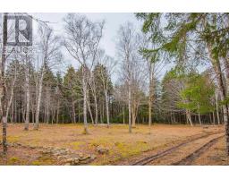 Lot, Peter Leblanc Road, Meteghan, NS B0W2J0 Photo 13