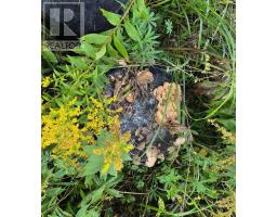 26-1 1290 Ridge Road, Falkland Ridge, NS B0R1H0 Photo 10