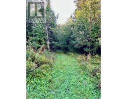 26-1 1290 Ridge Road, Falkland Ridge, NS B0R1H0 Photo 11