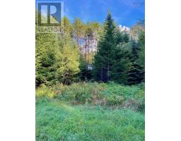 26-1 1290 Ridge Road, Falkland Ridge, NS B0R1H0 Photo 16