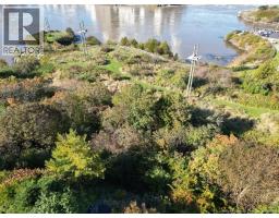 Aerial backyard view