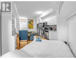 358 - 209 Fort York Boulevard, Toronto, ON M5V4A1 Photo 12