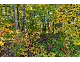 617 17th Street W, Owen Sound, ON N4K4B9 Photo 38