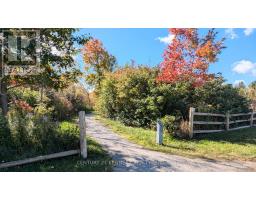 365 Old Colony Road, Richmond Hill, ON L4E5B2 Photo 38