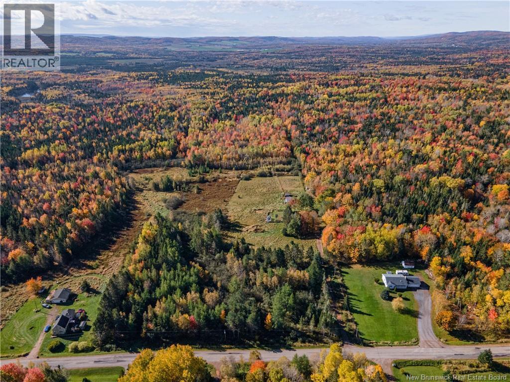 114 Collina Road - 37