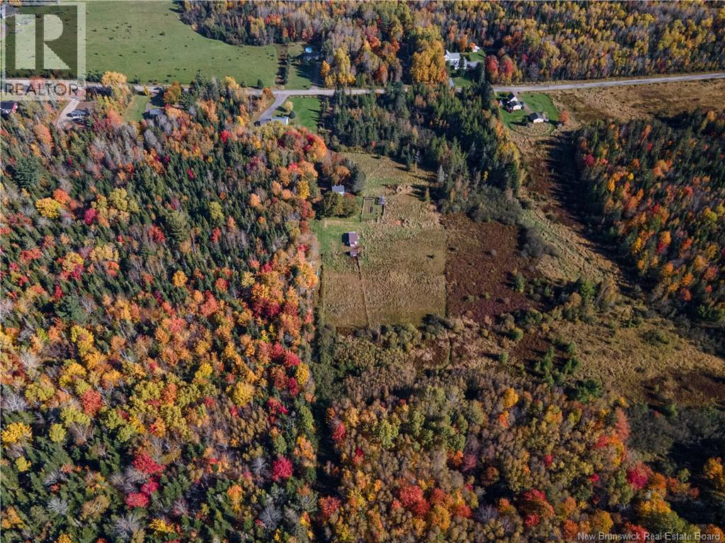 114 Collina Road - 38