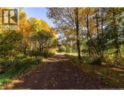 114 Collina Road, Collina, NB E5P3V8 Photo 28
