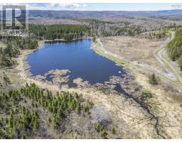 Lot Highway #7, Ashdale, NS B2G2L3 Photo 12