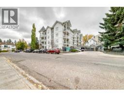 306, 1441 23 Avenue Sw, Calgary, AB T2T0T6 Photo 45