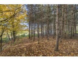 3871 Ch. River, L Ange Gardien, QC J8L0H5 Photo 48