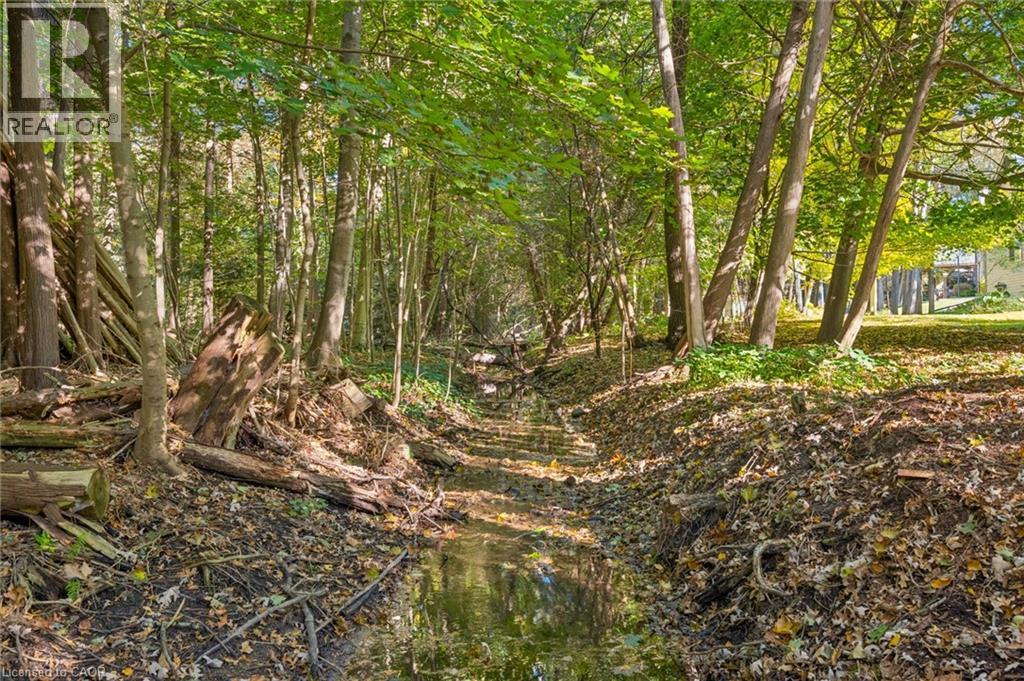 42 Greenwood Road — photo 47