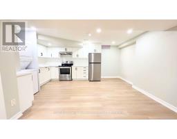 Bsmt - 26 Raffia Avenue, Richmond Hill, ON L4E4M9 Photo 10