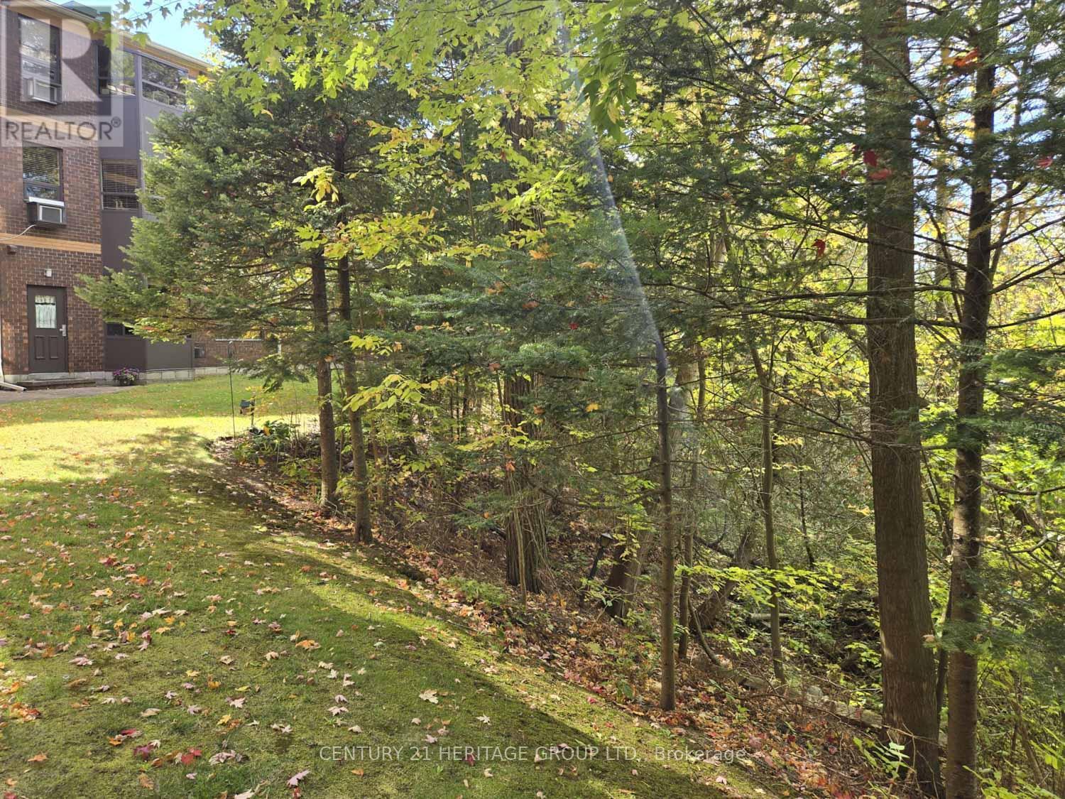 166 Olive Street — photo 33