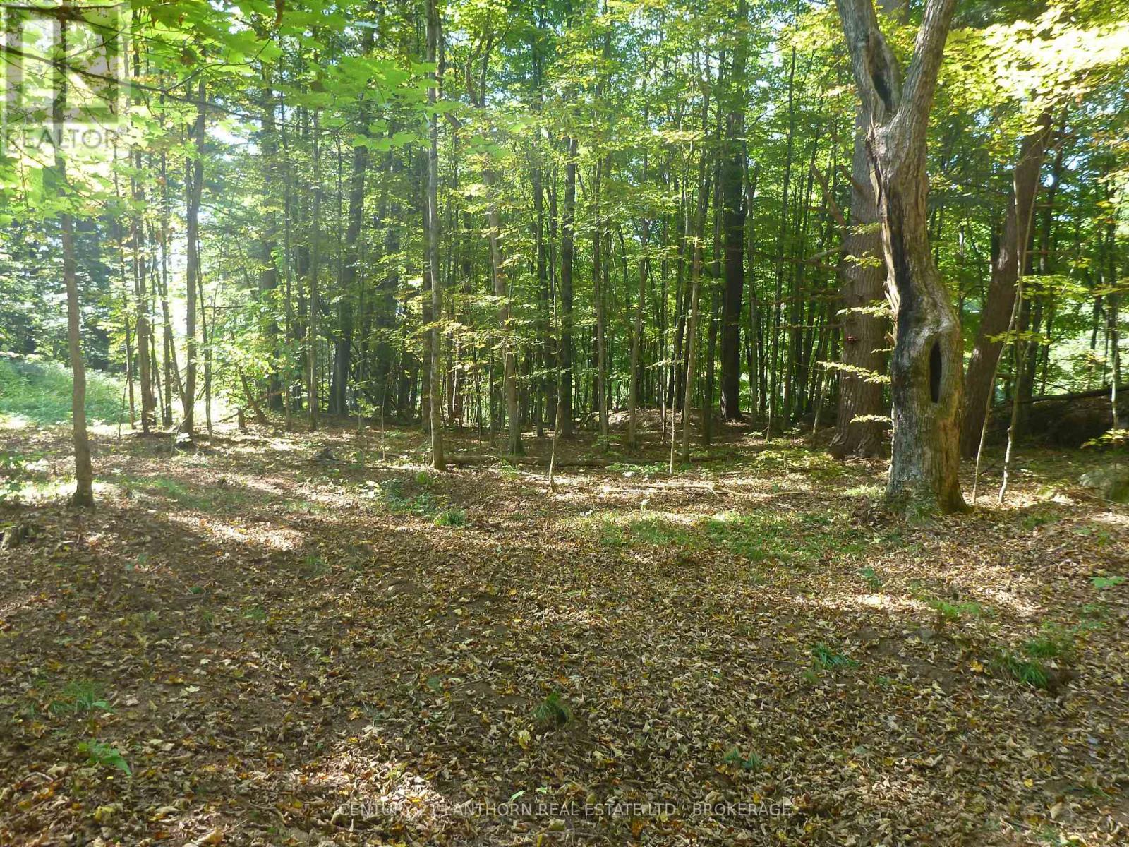 0 Sherman Springs Road — photo 10