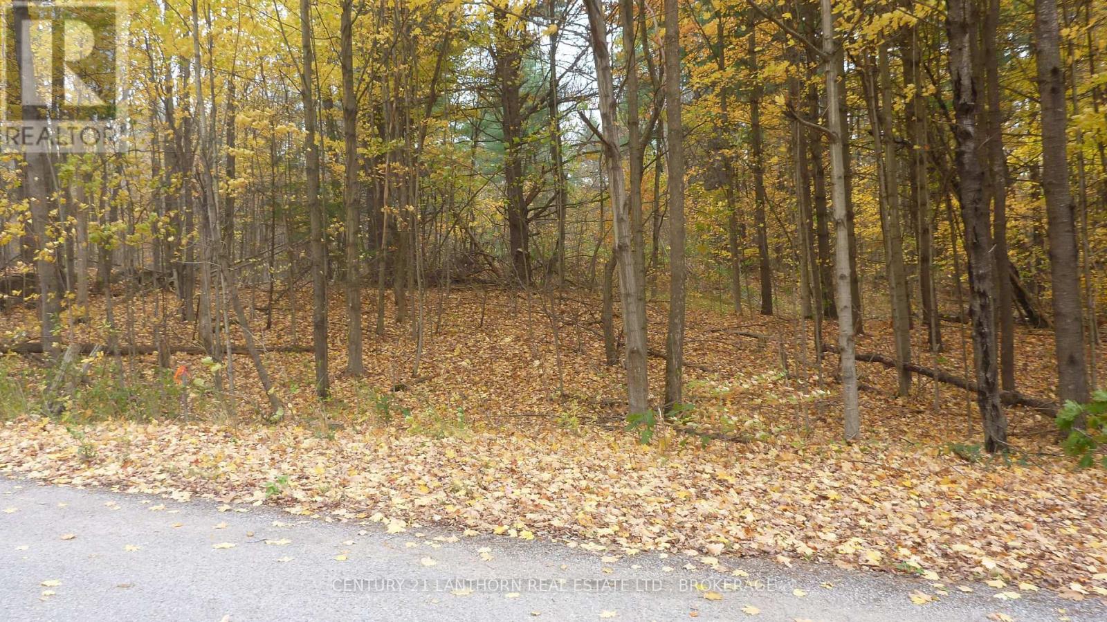 0 Sherman Springs Road — photo 13