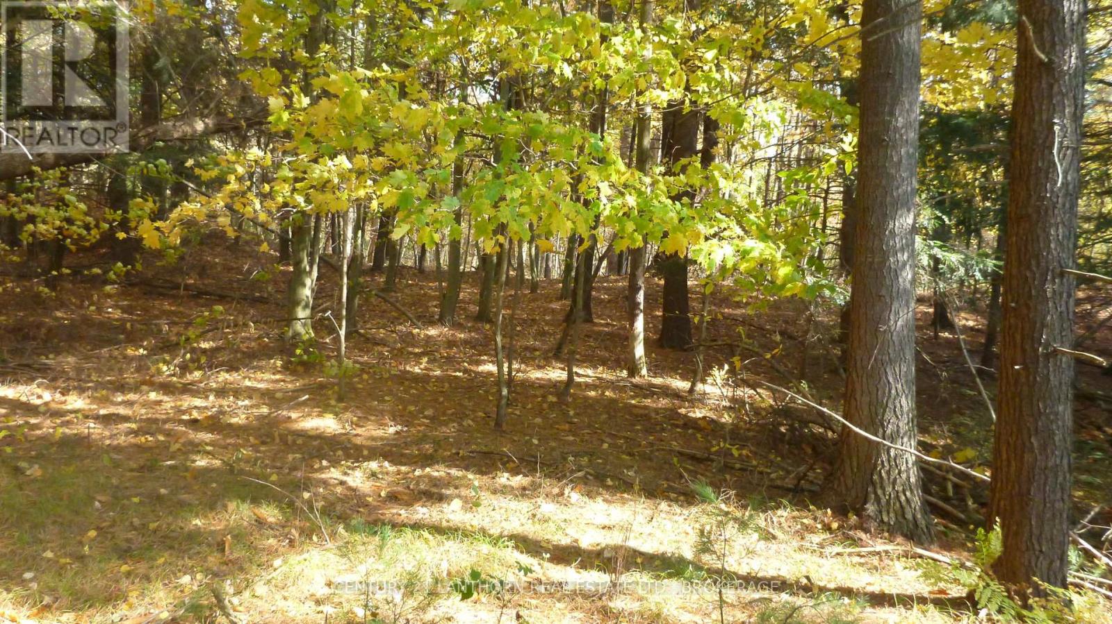 0 Sherman Springs Road — photo 14