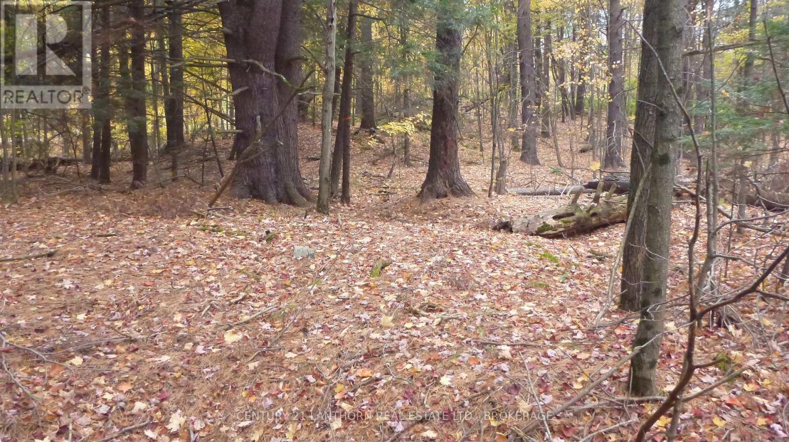 0 Sherman Springs Road — photo 15