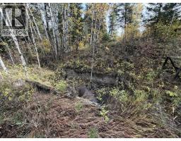 1401 Paxton Road, Williams Lake, BC V2G3G2 Photo 10