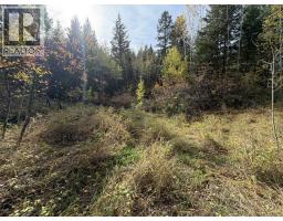 1401 Paxton Road, Williams Lake, BC V2G3G2 Photo 11