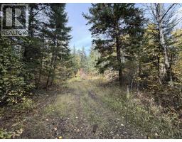 1401 Paxton Road, Williams Lake, BC V2G3G2 Photo 9