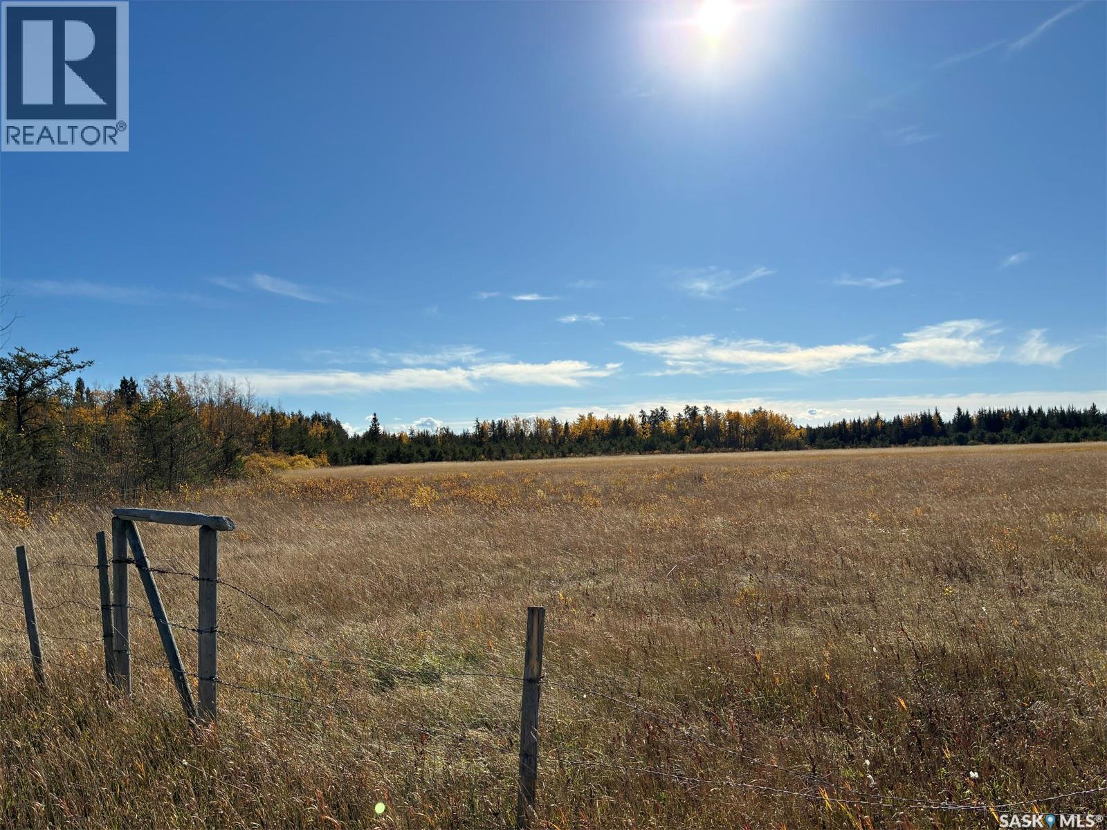 Lariviere Land 86.15 Acres photo 3