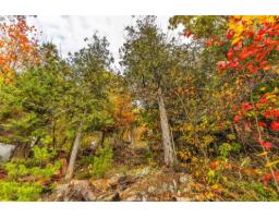 840 Route Du Carrefour, Val Des Monts, QC J8N5C8 Photo 6