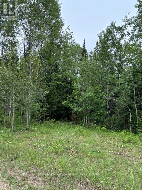 6055 Hwy 620, Wollaston, ON photo 8