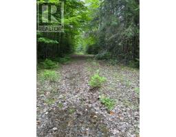 6055 Hwy 620, Wollaston, ON K0L1P0 Photo 6