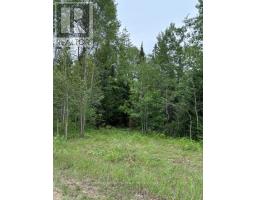 6055 Hwy 620, Wollaston, ON K0L1P0 Photo 8