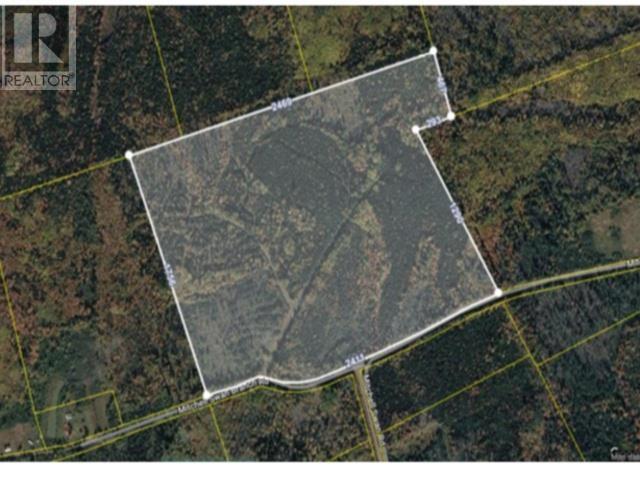 Property 7 of 7 of 100 Acres Mitchell Swan Road